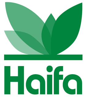 Haifa